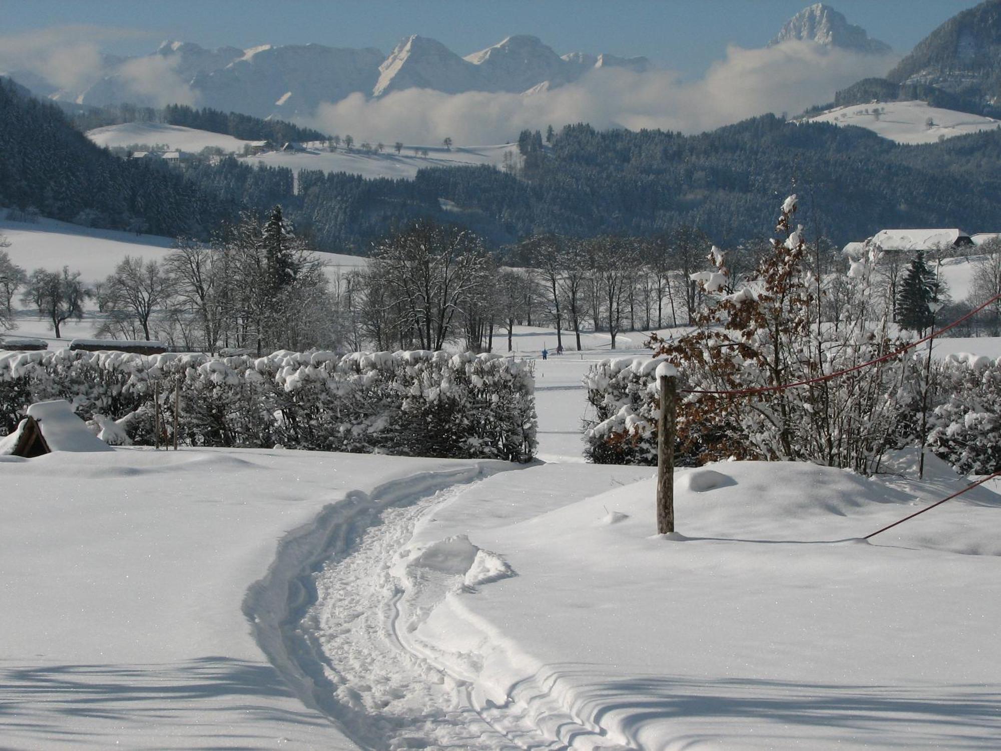 Villa Sonnwend National Park Lodge Rossleithen Εξωτερικό φωτογραφία